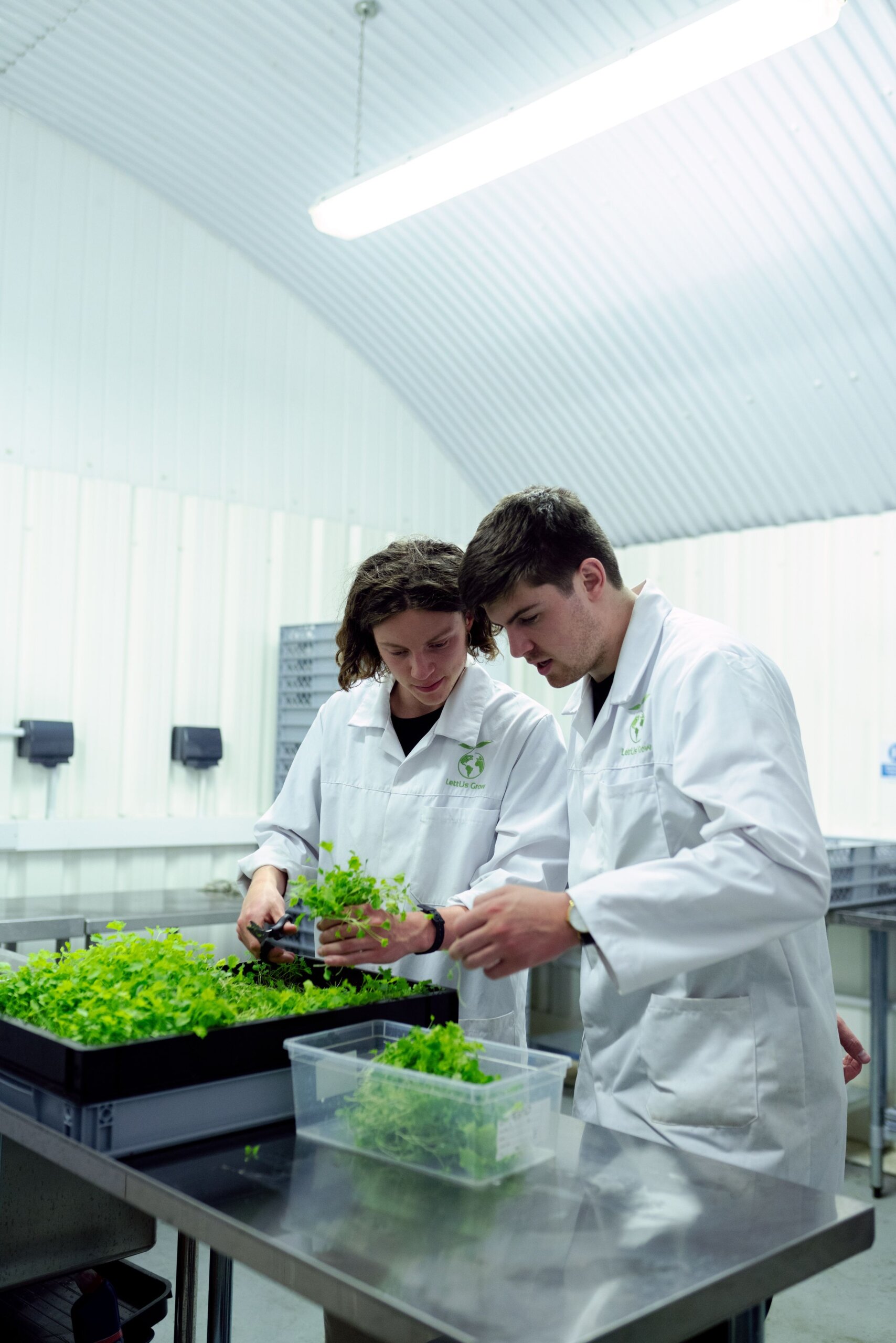 Two young men in lab coats sort through plants