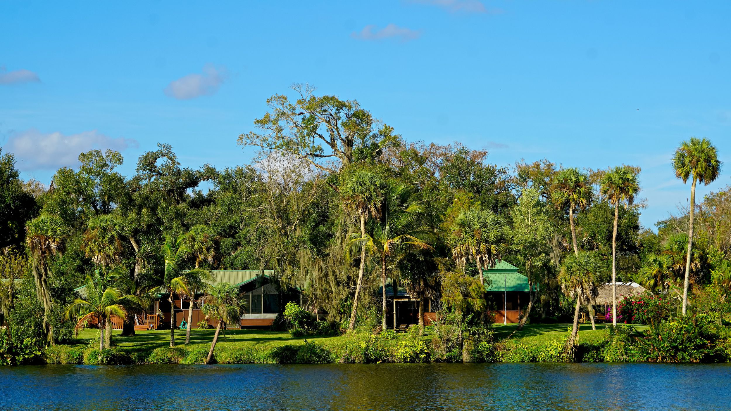 Waterfront homes covered in cypress trees