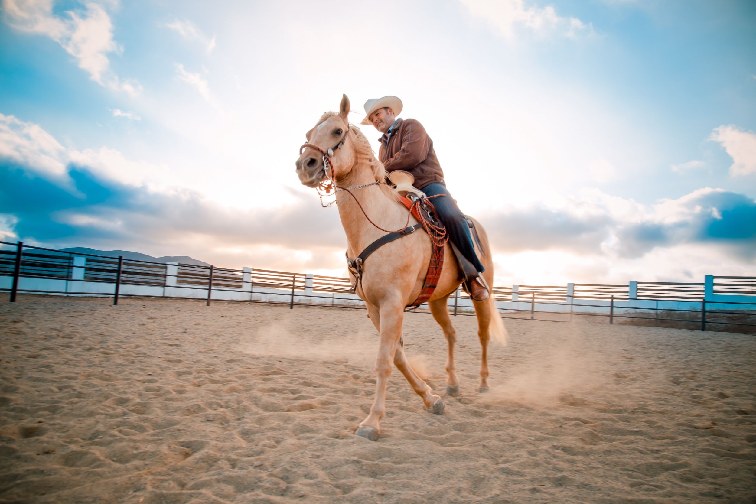 Cowboy rides horse in sand ring